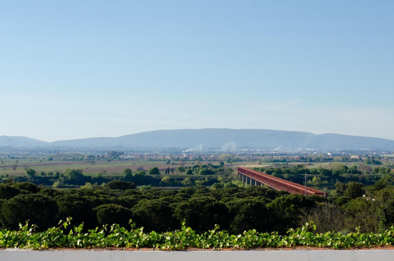 Convento Inn And Artists Residency Chamusca  Zewnętrze zdjęcie